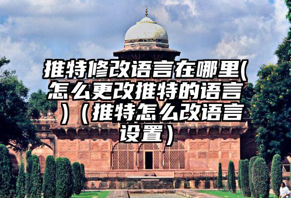 推特修改语言在哪里(怎么更改推特的语言 )（推特怎么改语言设置）