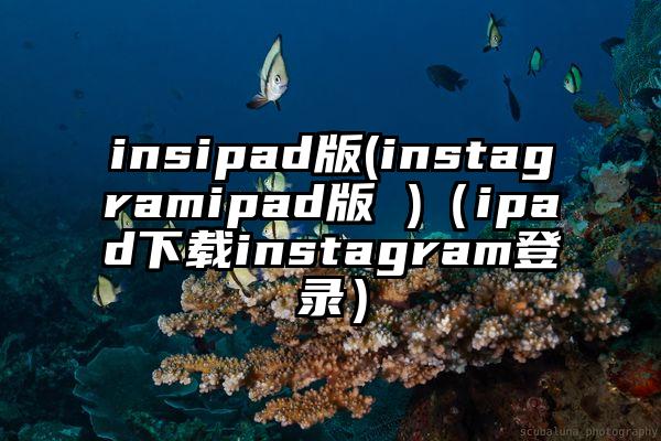 insipad版(instagramipad版 )(ipad下载instagram登录)