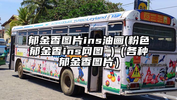 郁金香图片ins油画(粉色郁金香ins网图 )（各种郁金香图片）
