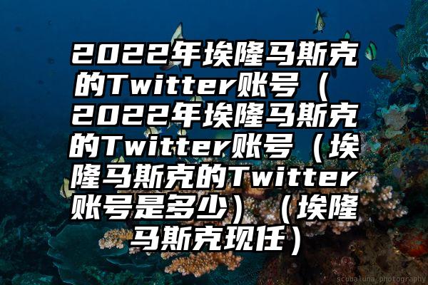 2022年埃隆马斯克的Twitter账号（ 2022年埃隆马斯克的Twitter账号（埃隆马斯克的Twitter账号是多少）（埃隆马斯克现任）