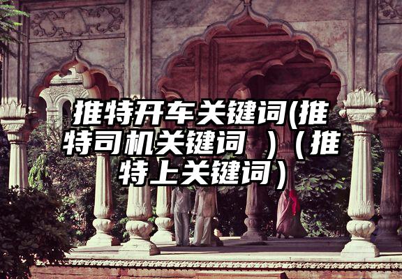推特开车关键词(推特司机关键词 )（推特上关键词）