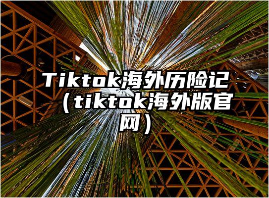 Tiktok海外历险记（tiktok海外版官网）