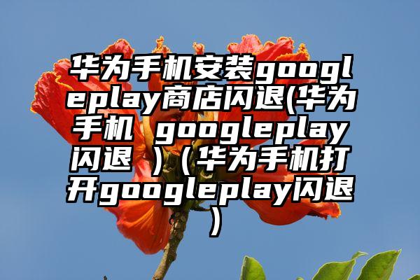 华为手机安装googleplay商店闪退(华为手机 googleplay闪退 )（华为手机打开googleplay闪退）