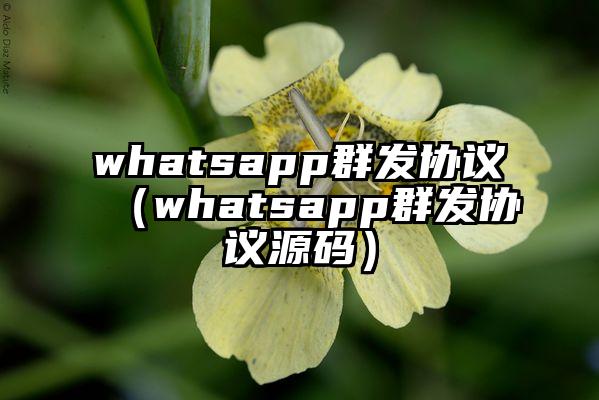 whatsapp群发协议（whatsapp群发协议源码）