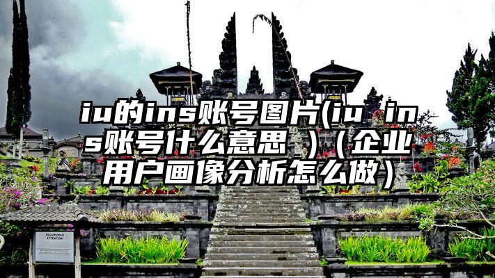 iu的ins账号图片(iu ins账号什么意思 )（企业用户画像分析怎么做）