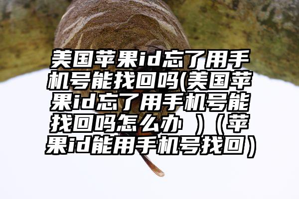 美国苹果id忘了用手机号能找回吗(美国苹果id忘了用手机号能找回吗怎么办 )（苹果id能用手机号找回）
