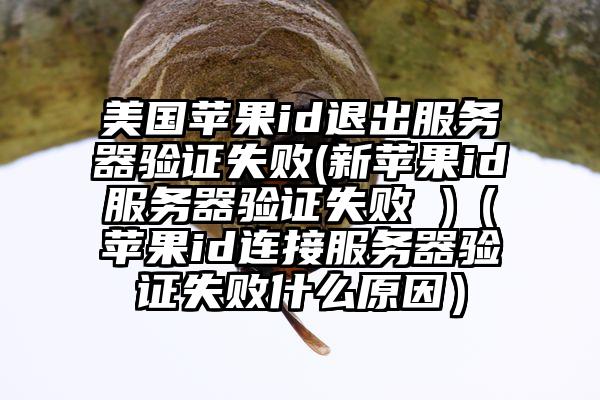美国苹果id退出服务器验证失败(新苹果id服务器验证失败 )（苹果id连接服务器验证失败什么原因）