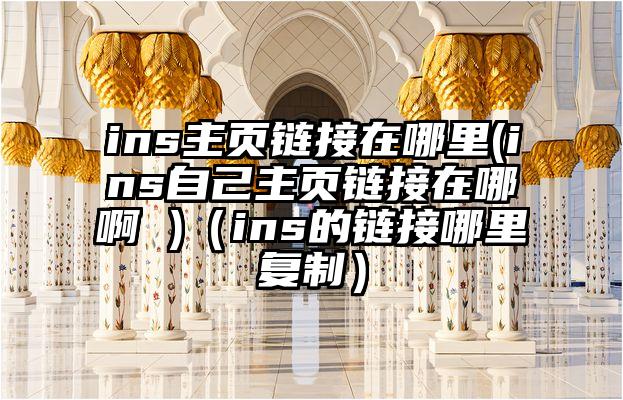 ins主页链接在哪里(ins自己主页链接在哪啊 )（ins的链接哪里复制）