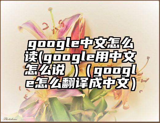 google中文怎么读(google用中文怎么说 )（google怎么翻译成中文）
