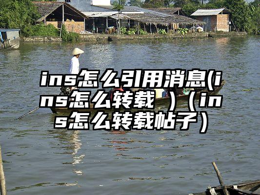 ins怎么引用消息(ins怎么转载 )（ins怎么转载帖子）