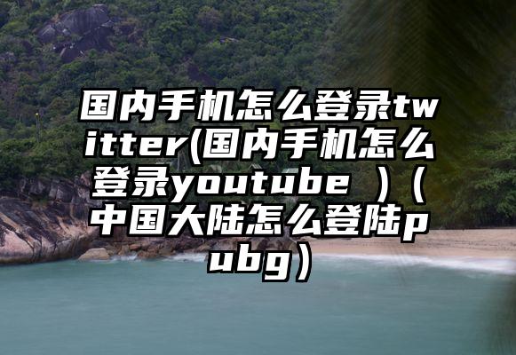 国内手机怎么登录twitter(国内手机怎么登录youtube )（中国大陆怎么登陆pubg）