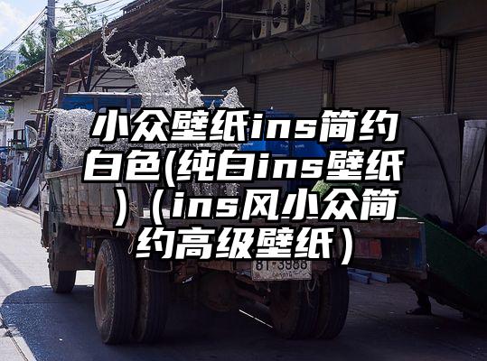 小众壁纸ins简约白色(纯白ins壁纸 )(ins风小众简约高级壁纸)