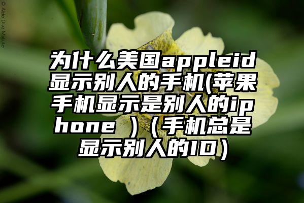 为什么美国appleid显示别人的手机(苹果手机显示是别人的iphone )（手机总是显示别人的ID）