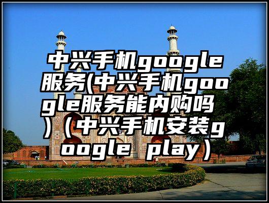 中兴手机google服务(中兴手机google服务能内购吗 )（中兴手机安装google play）