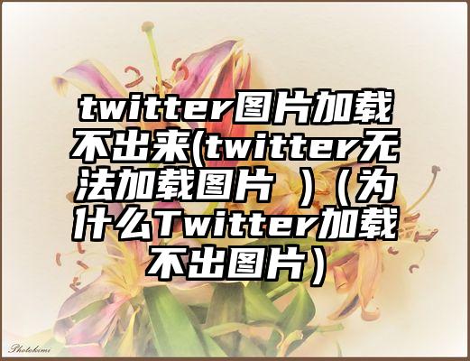 twitter图片加载不出来(twitter无法加载图片 )（为什么Twitter加载不出图片）
