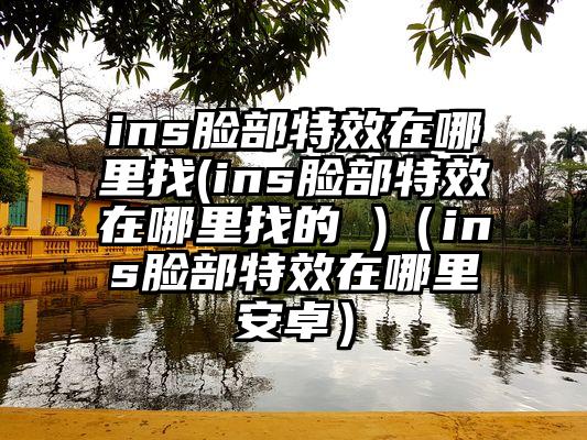 ins脸部特效在哪里找(ins脸部特效在哪里找的 )（ins脸部特效在哪里安卓）