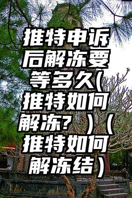 推特申诉后解冻要等多久(推特如何解冻? )（推特如何解冻结）