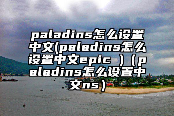 paladins怎么设置中文(paladins怎么设置中文epic )（paladins怎么设置中文ns）