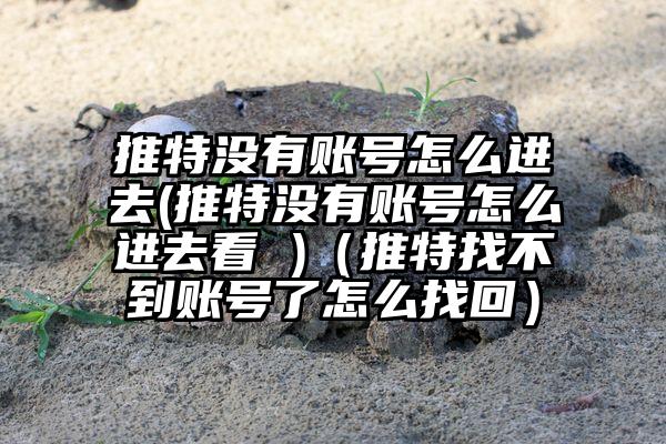 推特没有账号怎么进去(推特没有账号怎么进去看 )（推特找不到账号了怎么找回）