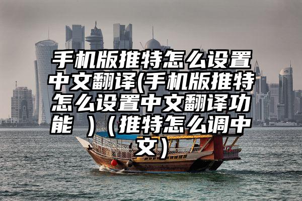 手机版推特怎么设置中文翻译(手机版推特怎么设置中文翻译功能 )(推特怎么调中文)