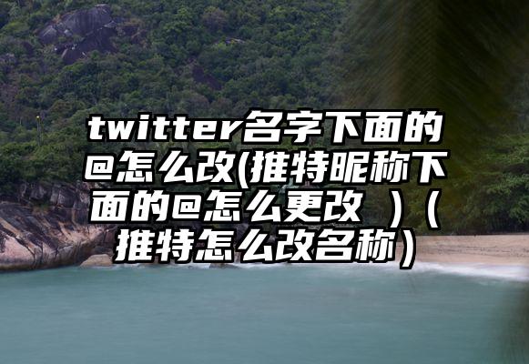 twitter名字下面的@怎么改(推特昵称下面的@怎么更改 )（推特怎么改名称）