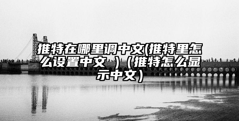 推特在哪里调中文(推特里怎么设置中文 )（推特怎么显示中文）