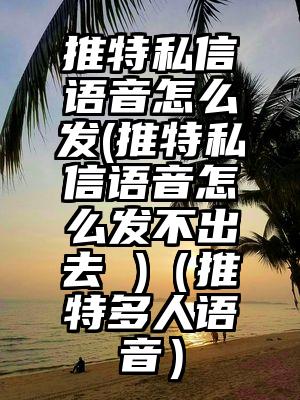 推特私信语音怎么发(推特私信语音怎么发不出去 )（推特多人语音）