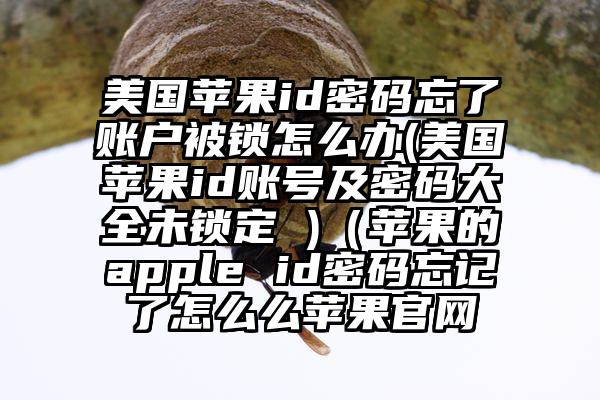 美国苹果id密码忘了账户被锁怎么办(美国苹果id账号及密码大全未锁定 )（苹果的apple id密码忘记了怎么么苹果官网