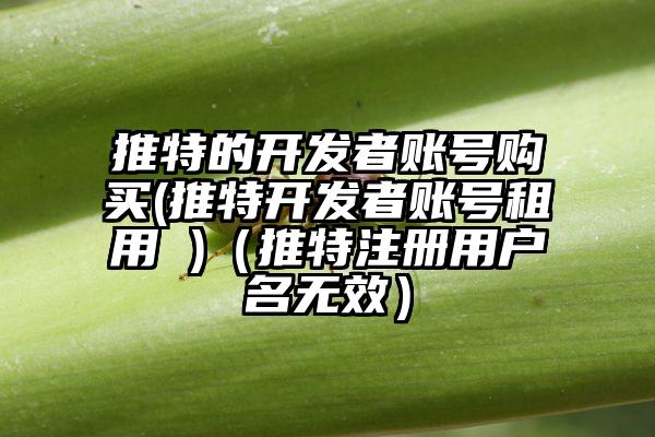推特的开发者账号购买(推特开发者账号租用 )（推特注册用户名无效）