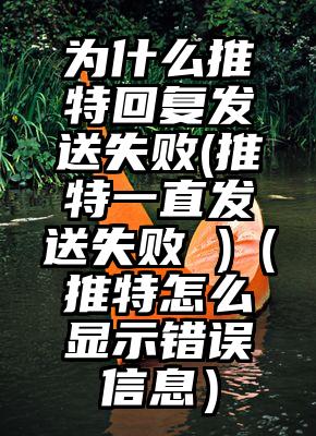 为什么推特回复发送失败(推特一直发送失败 )（推特怎么显示错误信息）