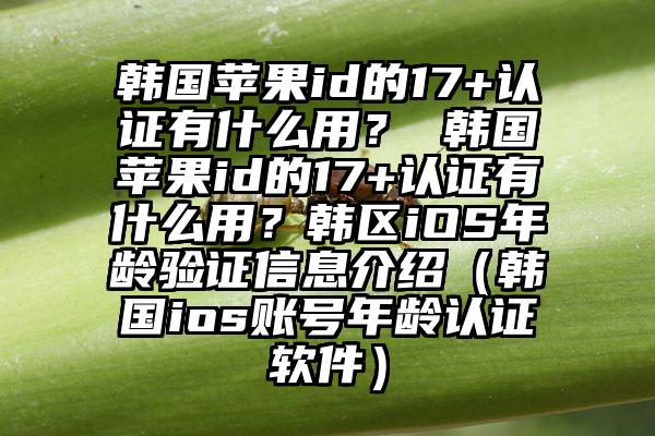 韩国苹果id的17+认证有什么用？ 韩国苹果id的17+认证有什么用？韩区iOS年龄验证信息介绍（韩国ios账号年龄认证软件）