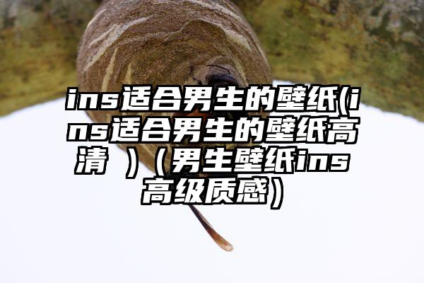 ins适合男生的壁纸(ins适合男生的壁纸高清 )（男生壁纸ins高级质感）