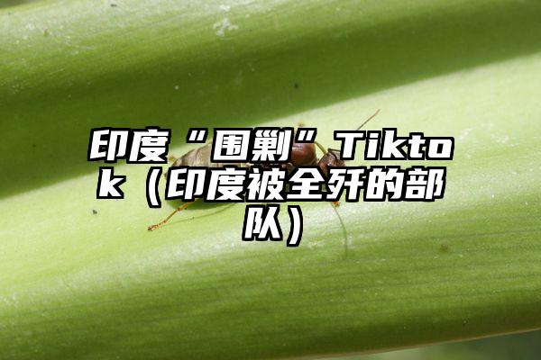 印度“围剿”Tiktok（印度被全歼的部队）