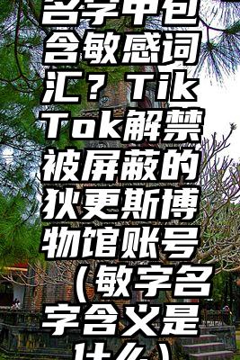 名字中包含敏感词汇？TikTok解禁被屏蔽的狄更斯博物馆账号（敏字名字含义是什么）