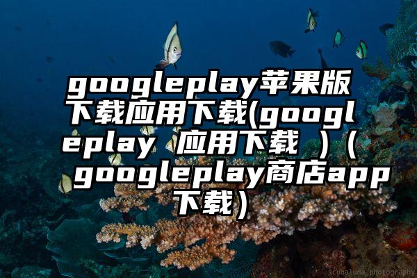 googleplay苹果版下载应用下载(googleplay 应用下载 )（googleplay商店app下载）