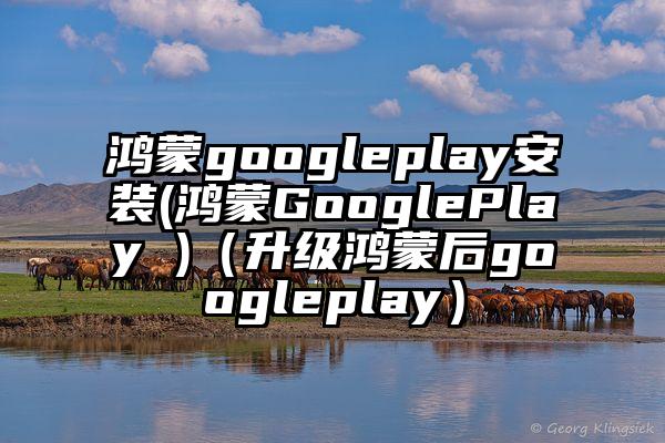 鸿蒙googleplay安装(鸿蒙GooglePlay )（升级鸿蒙后googleplay）