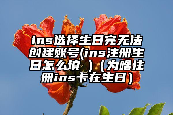 ins选择生日完无法创建账号(ins注册生日怎么填 )（为啥注册ins卡在生日）
