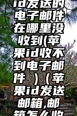 美国苹果id发送的电子邮件在哪里没收到(苹果id收不到电子邮件 )（苹果id发送邮箱,邮箱怎么收不到）
