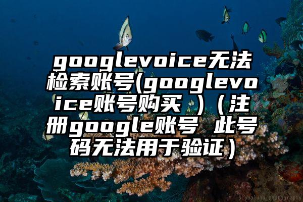 googlevoice无法检索账号(googlevoice账号购买 )（注册google账号 此号码无法用于验证）