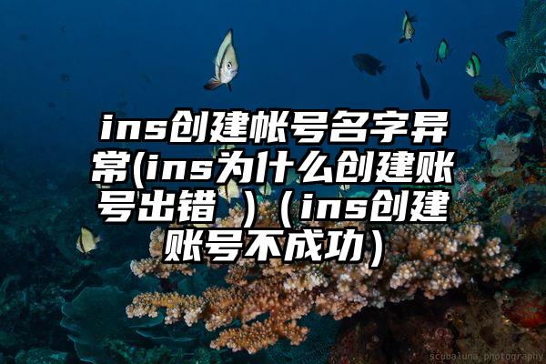 ins创建帐号名字异常(ins为什么创建账号出错 )（ins创建账号不成功）
