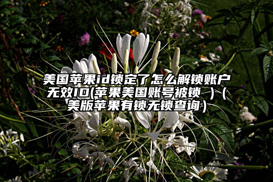 美国苹果id锁定了怎么解锁账户无效ID(苹果美国账号被锁 )（美版苹果有锁无锁查询）