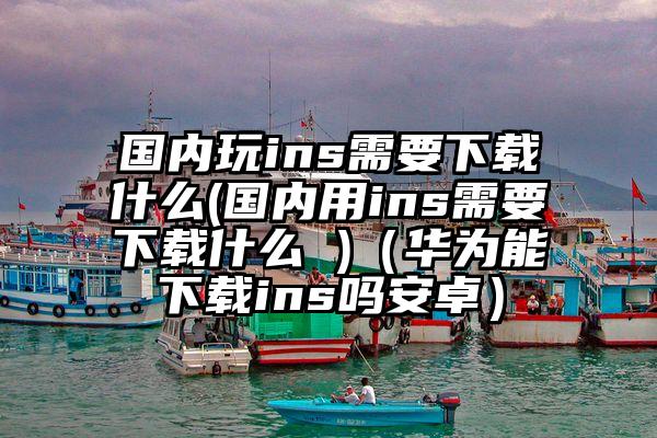 国内玩ins需要下载什么(国内用ins需要下载什么 )（华为能下载ins吗安卓）