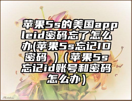 苹果5s的美国appleid密码忘了怎么办(苹果5s忘记ID密码 )（苹果5s忘记id账号和密码怎么办）