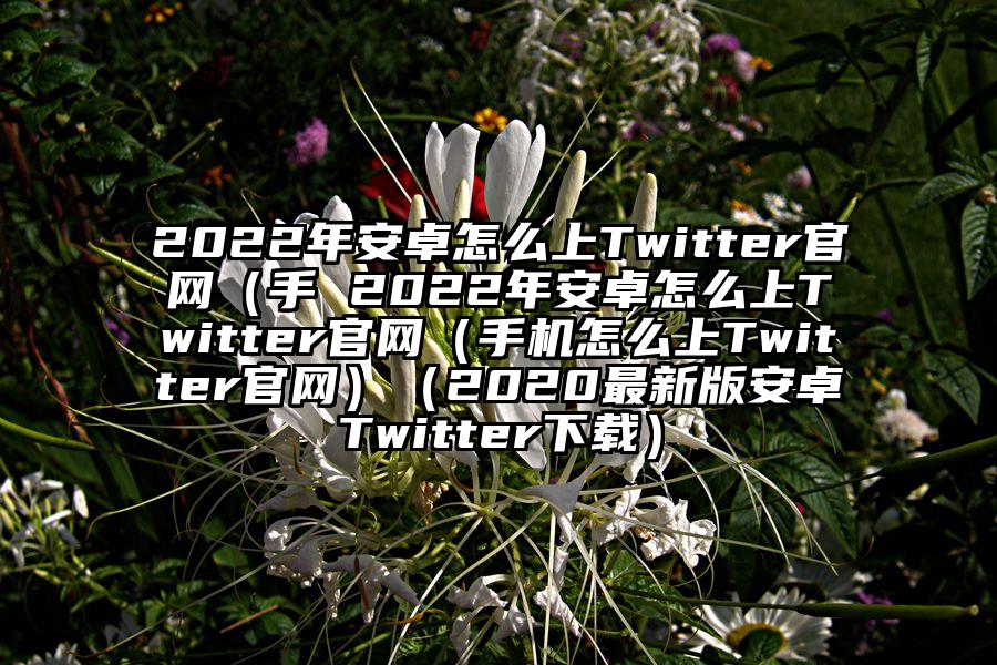 2022年安卓怎么上Twitter官网（手 2022年安卓怎么上Twitter官网（手机怎么上Twitter官网）（2020最新版安卓Twitter下载）
