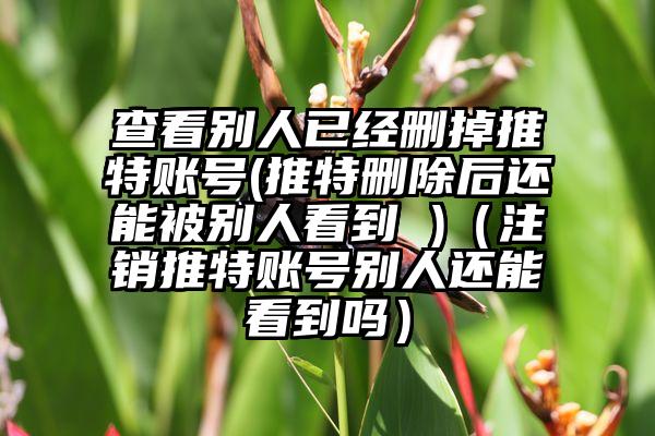 查看别人已经删掉推特账号(推特删除后还能被别人看到 )（注销推特账号别人还能看到吗）