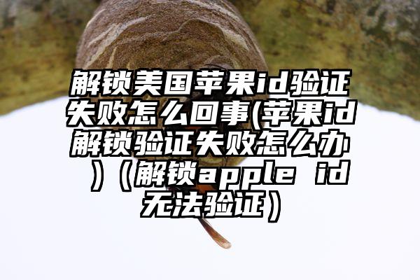 解锁美国苹果id验证失败怎么回事(苹果id解锁验证失败怎么办 )（解锁apple id无法验证）