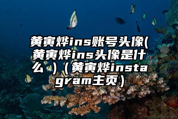 黄寅烨ins账号头像(黄寅烨ins头像是什么 )（黄寅烨instagram主页）