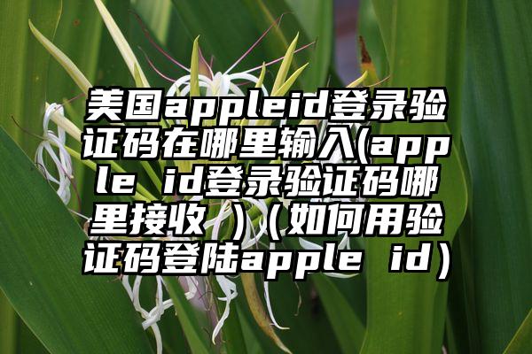 美国appleid登录验证码在哪里输入(apple id登录验证码哪里接收 )（如何用验证码登陆apple id）