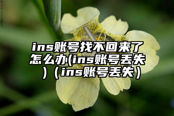 ins账号找不回来了怎么办(ins账号丢失 )（ins账号丢失）