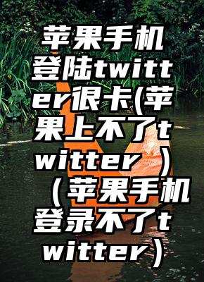 苹果手机登陆twitter很卡(苹果上不了twitter )（苹果手机登录不了twitter）